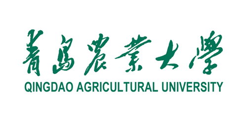 標準字體