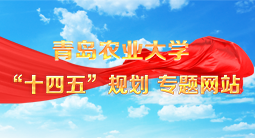 “十四五規(guī)劃”專題