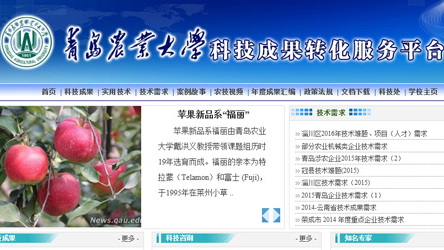 成果轉(zhuǎn)化
